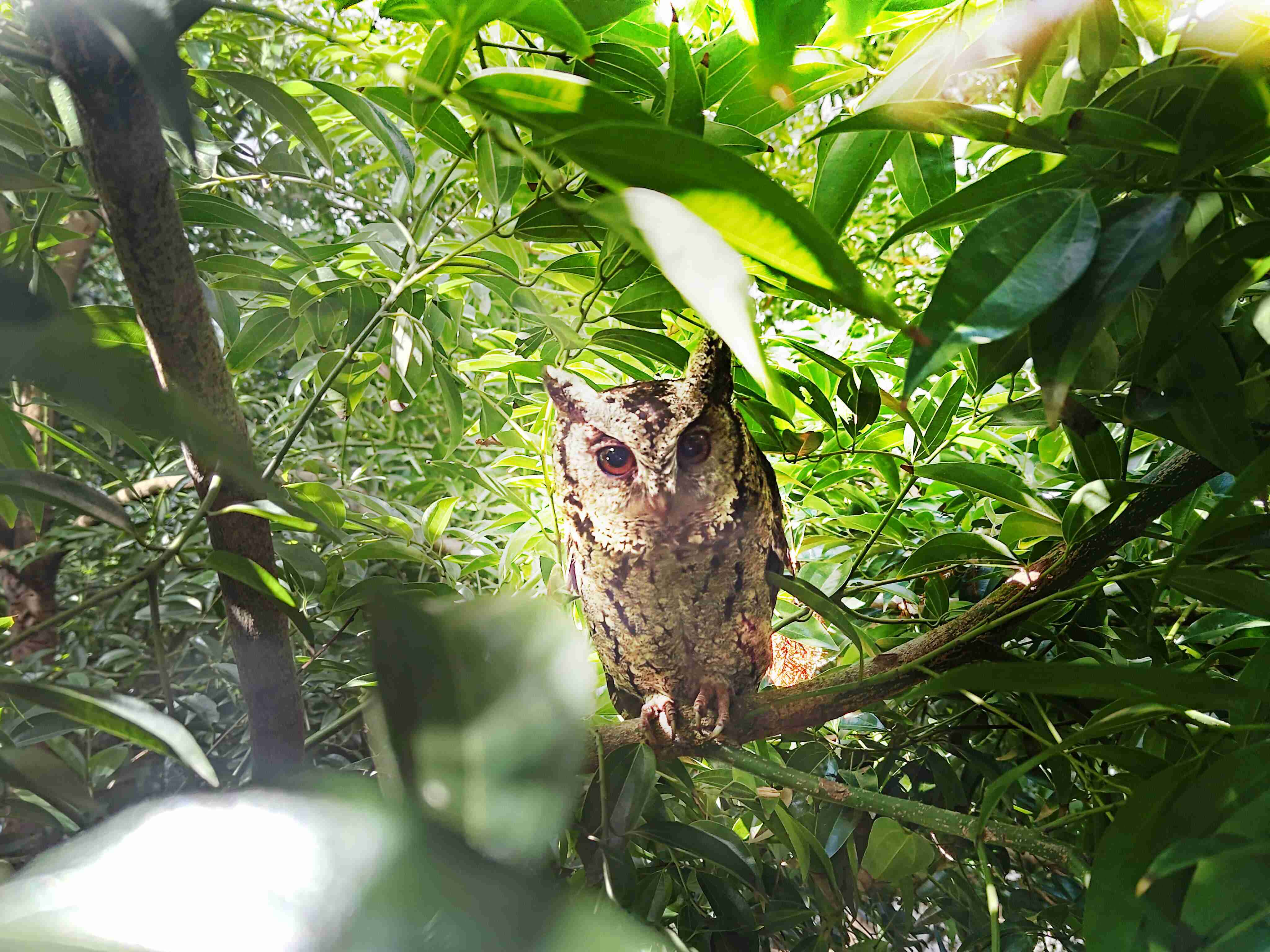 彩运网致力提倡净零绿生活，，，16年以来在全球各厂区植树逾百万棵，，，造就各厂区树木蔚然成林，，，，犹如森林工厂，，成为许多生物的栖息地